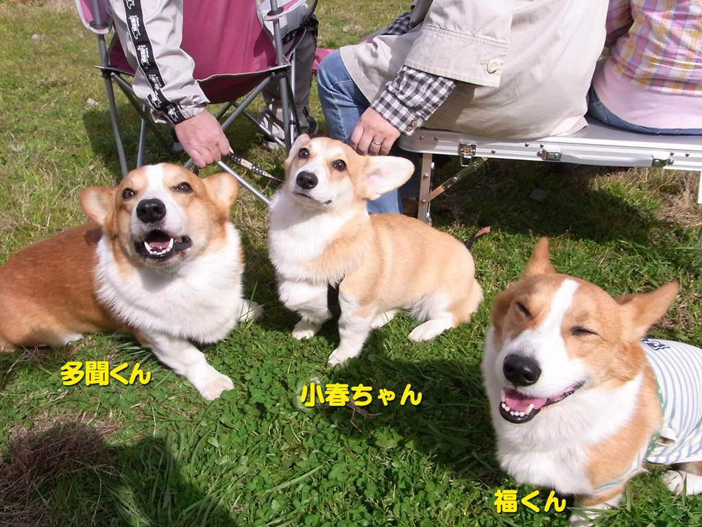 多聞くん