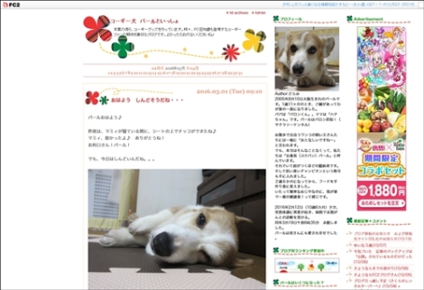 FC2ブログ画面
