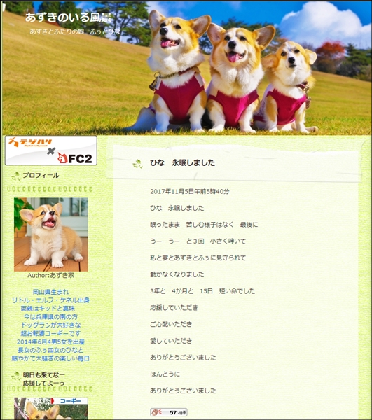 あずきちゃんブログ