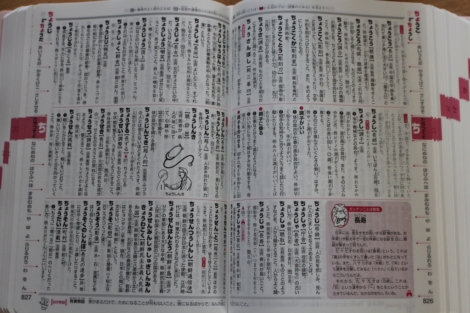 国語辞典　開いたところ