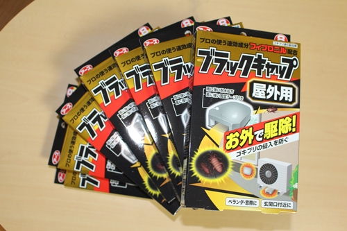 ブラックキャップストック