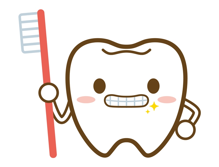 Illustration of teeth