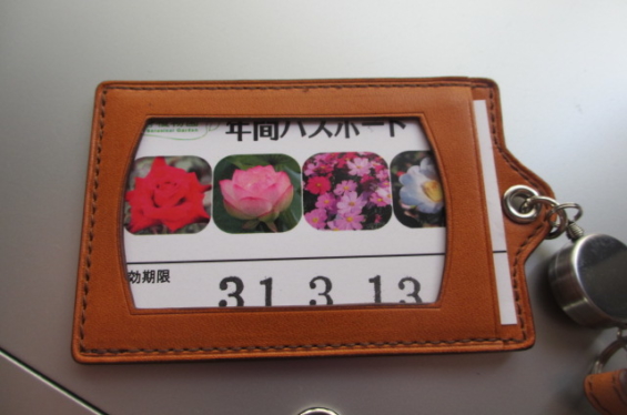 Pass case