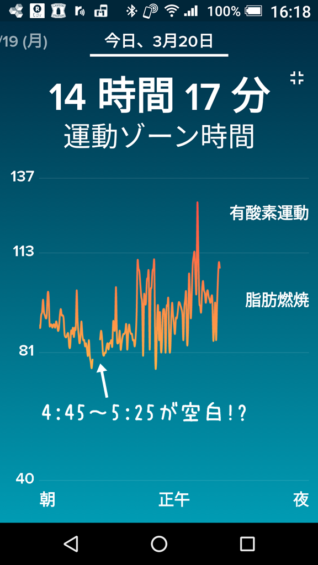 Fitbit心拍数データ