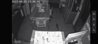 Tapoカメラの映像