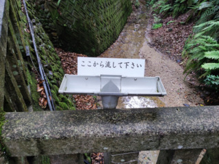 身代わりどじょう