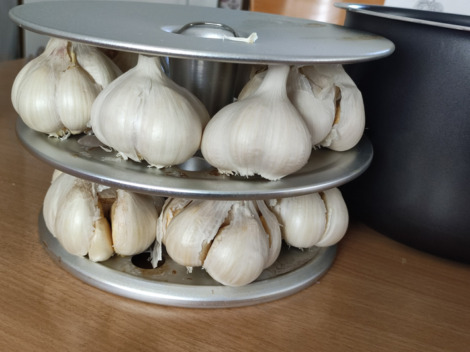 黒にんにくメーカー